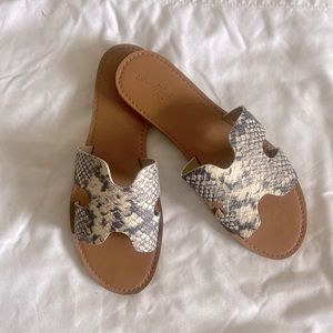 Snake skin print slides